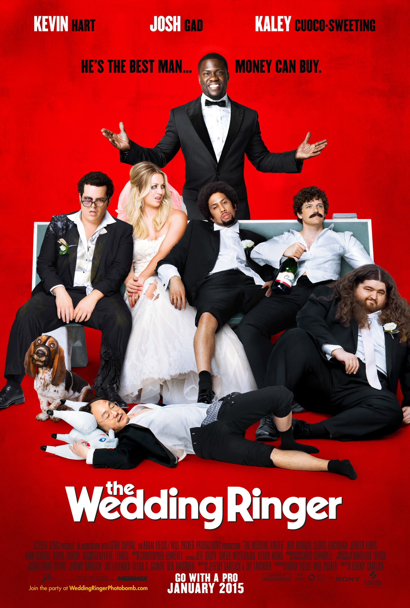 دانلود فیلم The Wedding Ringer / سخنران عروسی